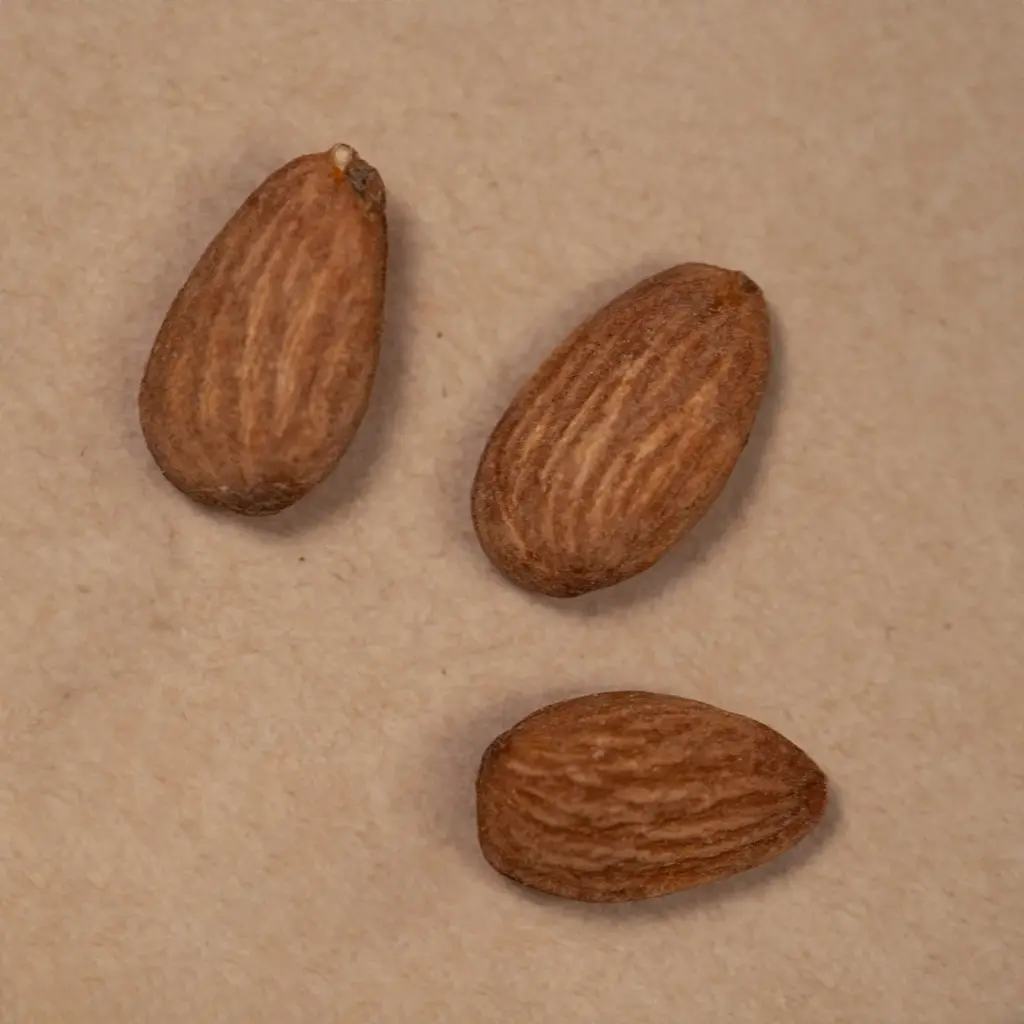 Roasted & Salted Almonds (180G)