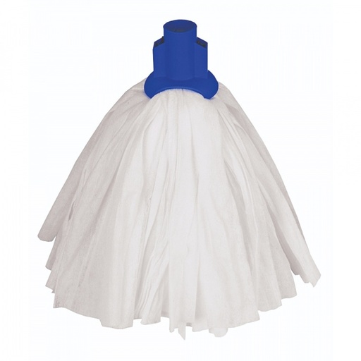 STANDARD BIG WHITE BLUE RS1 FITTING 5x10